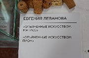 DSCF0560-52.jpg