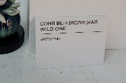 DSCF0568-60.jpg