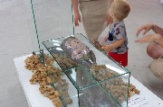 DSCF0562-54.jpg