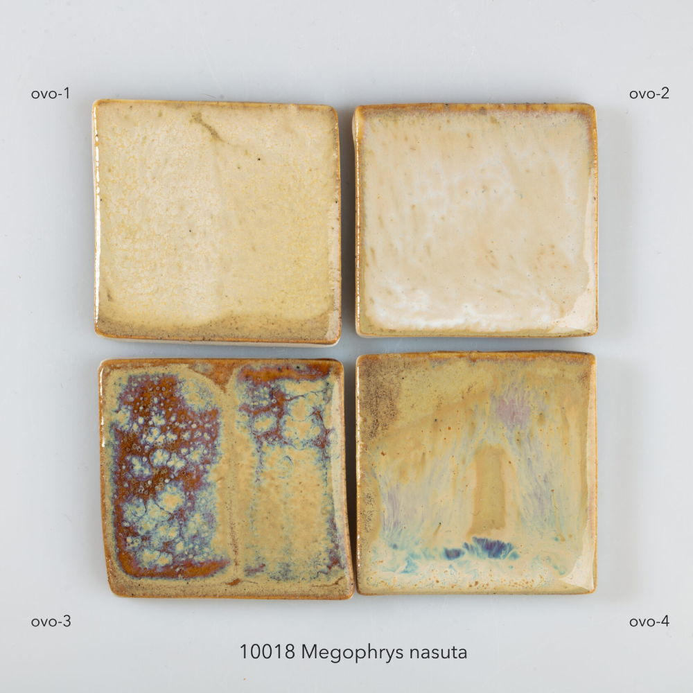 Глазурь OVO 10018 Megophrys nasuta, S-1711-69