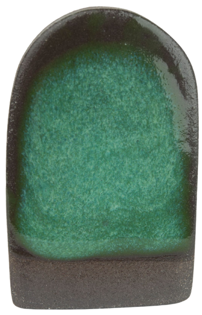 Hemigrammus hyanuary