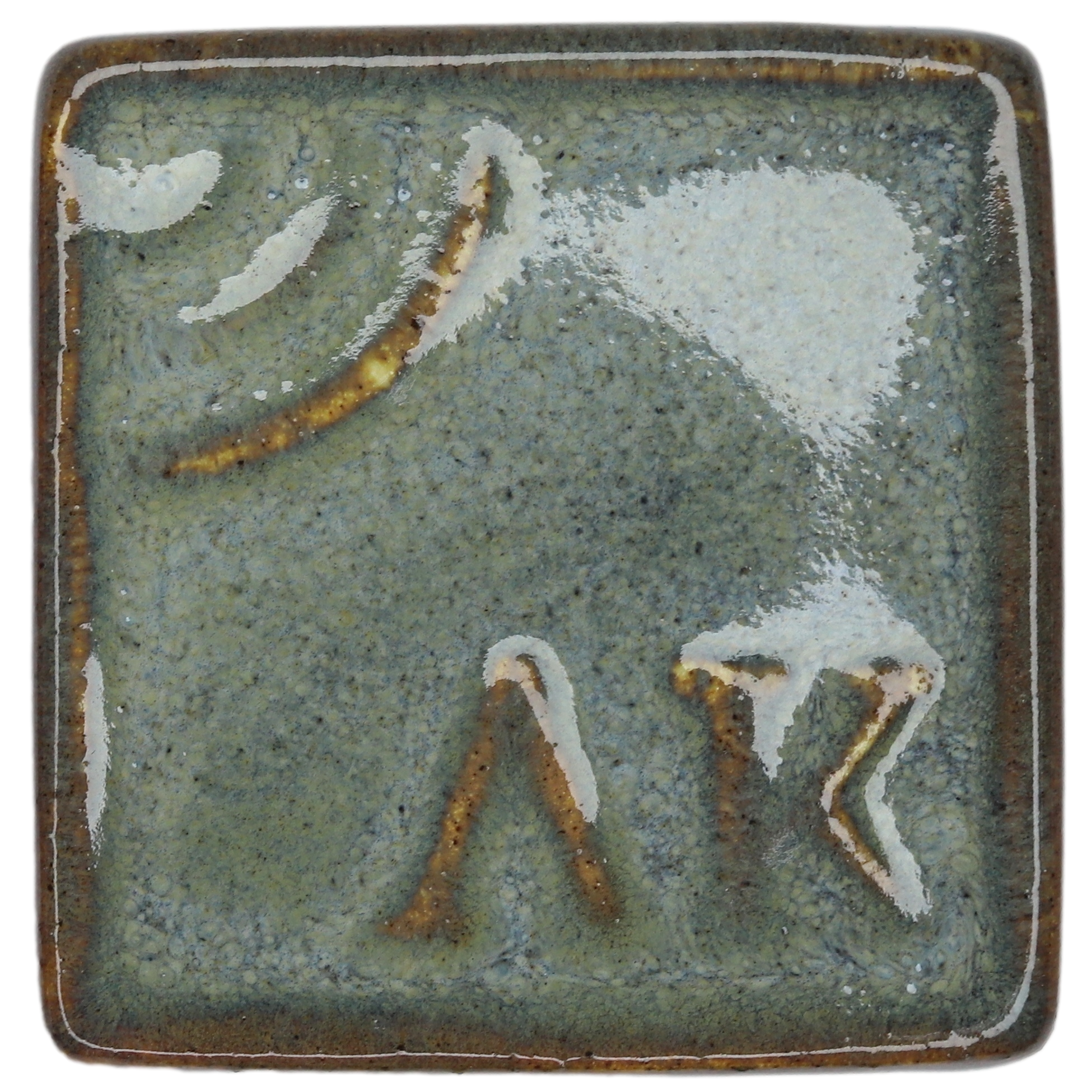 Глазурь OVO Hydrodictyon reticulatum